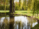 Entwicklung von Natur und Landschaft